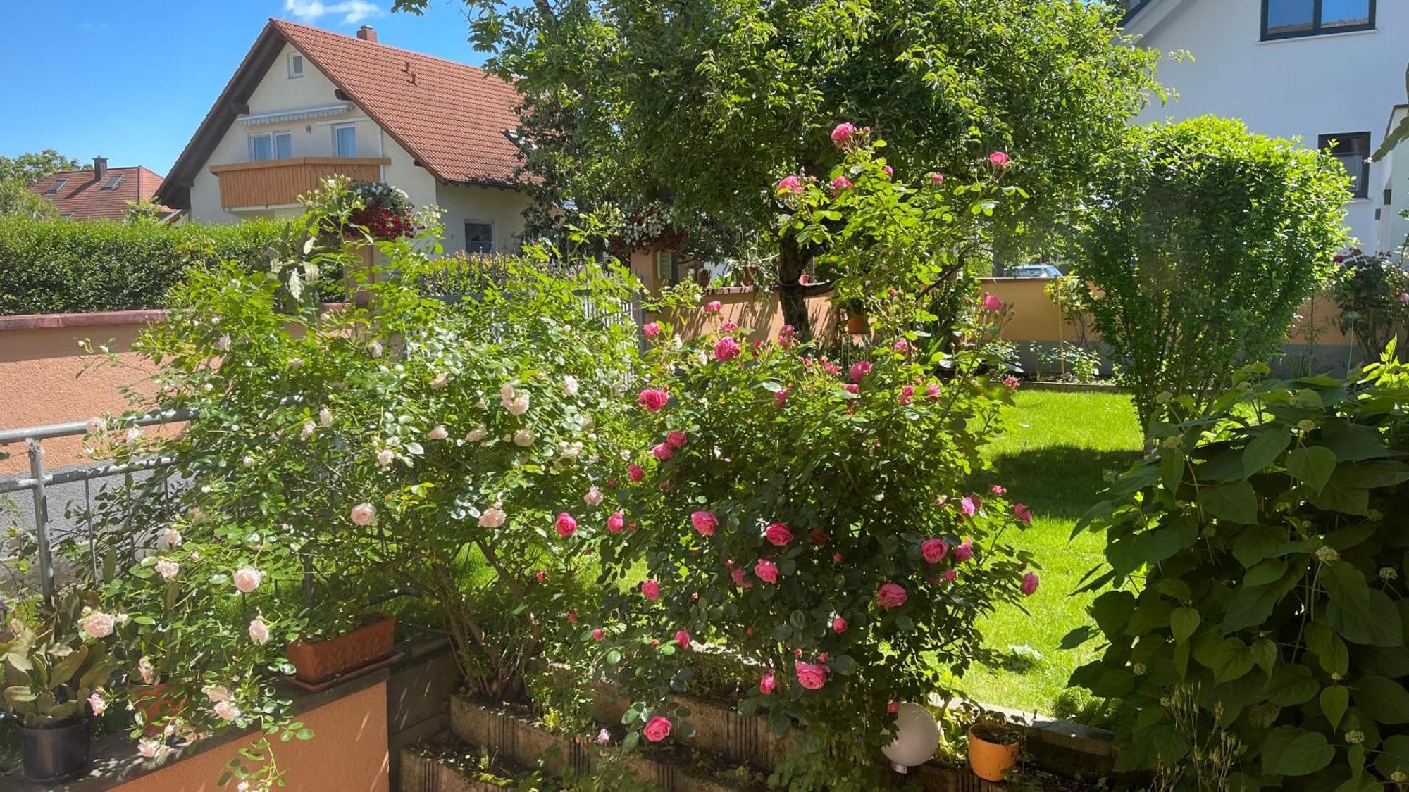 Ferienwohnung Am Eck Rust Εξωτερικό φωτογραφία